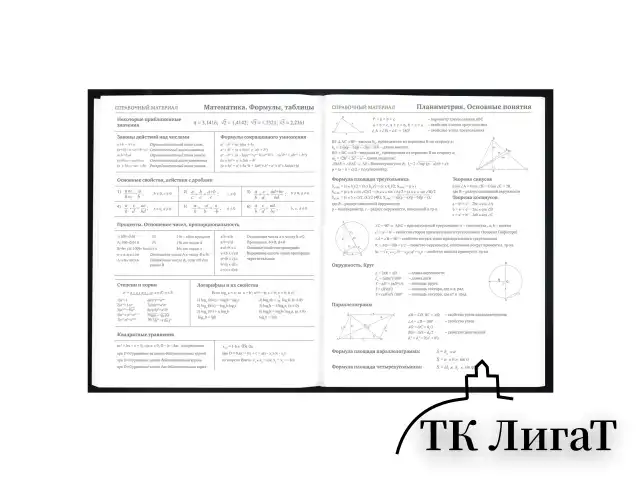 Дневник 5-11 класс 48 л., твердый, BRAUBERG, выборочный лак, с подсказом, "Волшебный кот", 107197