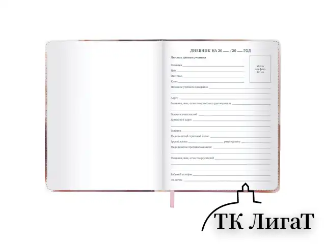 Дневник 1-11 класс 48 л., кожзам (твердая), застежка, BRAUBERG, "Котик с рыбкой", 107229