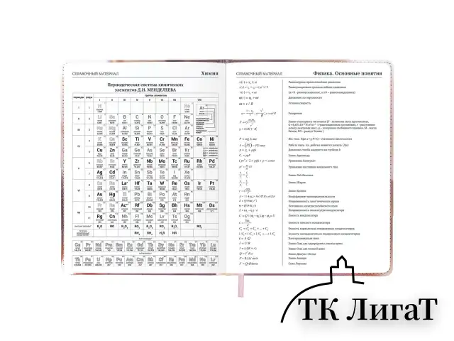Дневник 1-11 класс 48 л., кожзам (твердая), застежка, BRAUBERG, "Котик с рыбкой", 107229