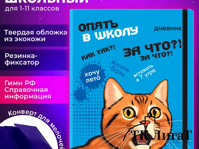 Дневник 1-11 класс 48 л., кожзам (твердая), печать, резинка, конверт, BRAUBERG, "Опять в школу", 107231