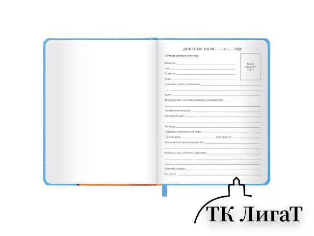 Дневник 1-11 класс 48 л., кожзам (твердая), печать, резинка, конверт, BRAUBERG, "Опять в школу", 107231