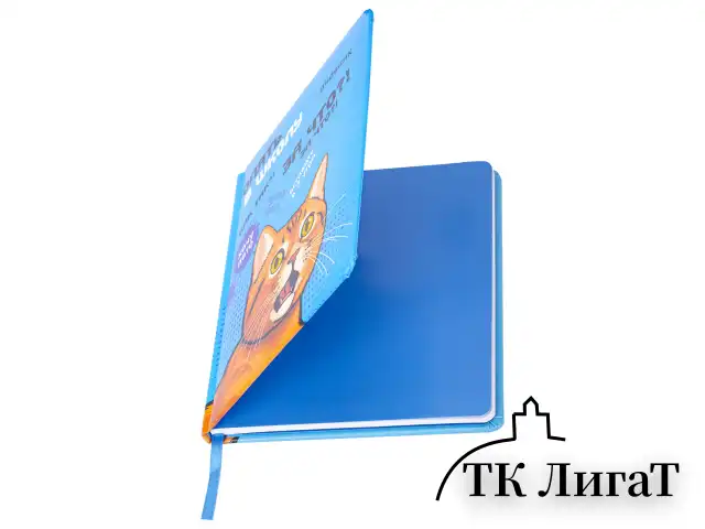 Дневник 1-11 класс 48 л., кожзам (твердая), печать, резинка, конверт, BRAUBERG, "Опять в школу", 107231