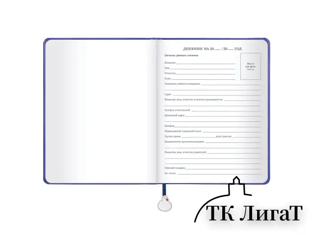 Дневник 1-11 класс 48 л., кожзам (твердая с поролоном), печать, ляссе с аппликацией, BRAUBERG, "Гуси", 107233