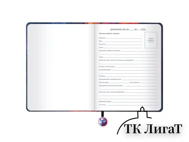 Дневник 1-11 класс 48 л., кожзам (твердая с поролоном), печать, ляссе с аппликацией, BRAUBERG, "Футбол", 107234