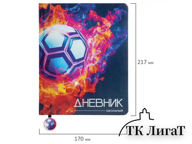 Дневник 1-11 класс 48 л., кожзам (твердая с поролоном), печать, ляссе с аппликацией, BRAUBERG, "Футбол", 107234