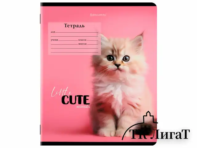 Тетрадь 12 л. BRAUBERG, клетка, обложка картон, CUTE ANIMALS, 107266