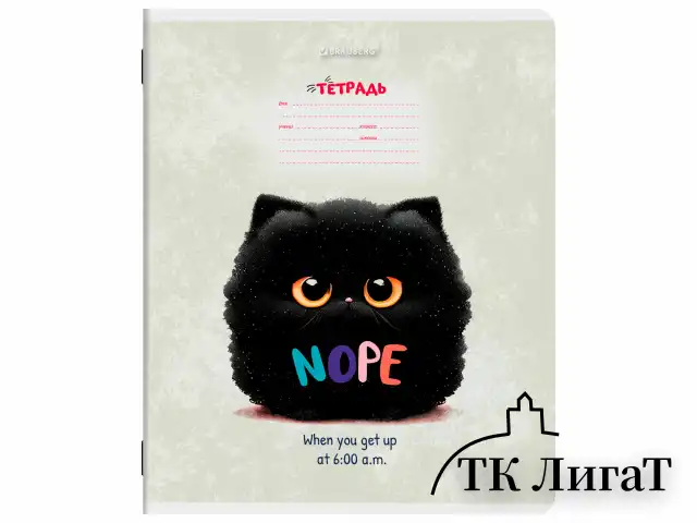 Тетрадь 12 л. BRAUBERG клетка, обложка картон, МИКС-1, 107268
