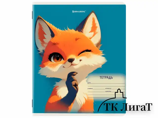 Тетрадь 12 л. BRAUBERG клетка, обложка картон, МИКС-1, 107268
