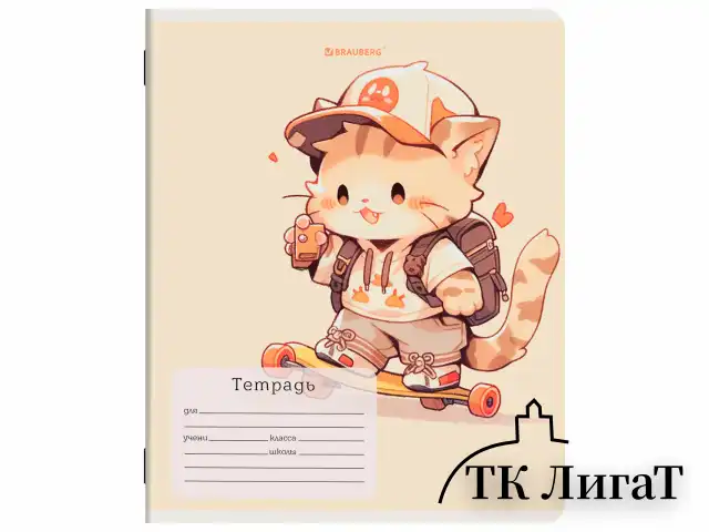 Тетрадь 12 л. BRAUBERG клетка, обложка картон, МИКС-1, 107268