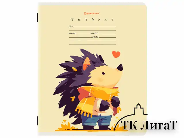 Тетрадь 12 л. BRAUBERG клетка, обложка картон, МИКС-1, 107268