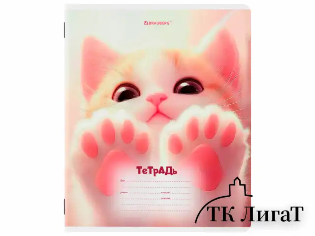 Тетрадь 12 л. BRAUBERG клетка, обложка картон, МИКС-1, 107268