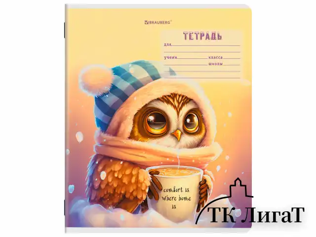 Тетрадь 12 л. BRAUBERG клетка, обложка картон, МИКС-2, 107269