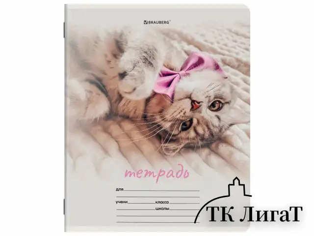 Тетрадь 12 л. BRAUBERG клетка, обложка картон, МИКС-2, 107269