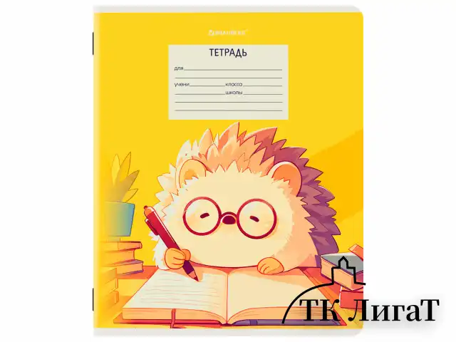 Тетрадь 12 л. BRAUBERG клетка, обложка картон, МИКС-2, 107269