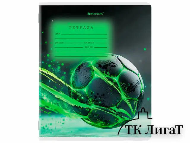 Тетрадь 12 л. BRAUBERG клетка, обложка картон, МИКС-3, 107270