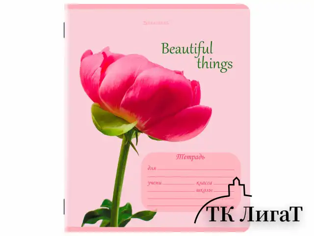 Тетрадь 12 л. BRAUBERG клетка, обложка картон, МИКС-4, 107276