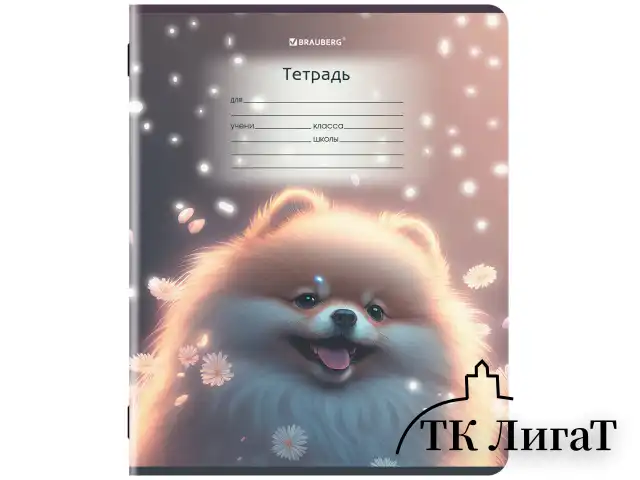 Тетрадь 12 л. BRAUBERG, косая линия, обложка картон, ЗВЕРУШКИ, 107289
