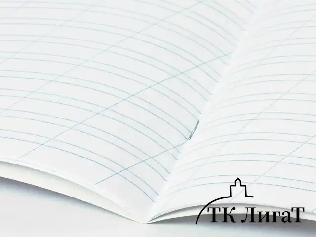 Тетрадь 12 л. BRAUBERG косая линия, обложка картон, ФУТБОЛ, 107290