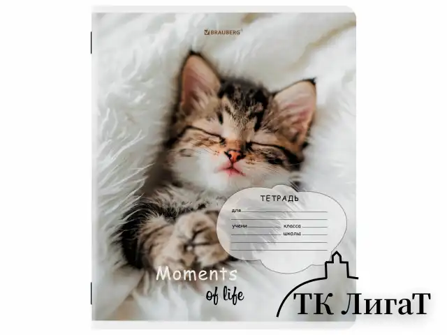 Тетрадь 18 л. BRAUBERG клетка, обложка картон, КОТЯТА, 107292