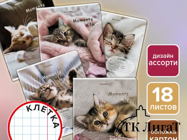 Тетрадь 18 л. BRAUBERG клетка, обложка картон, КОТЯТА, 107292