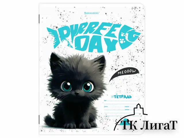 Тетрадь 18 л. BRAUBERG клетка, обложка картон, КОТИКИ, 107300