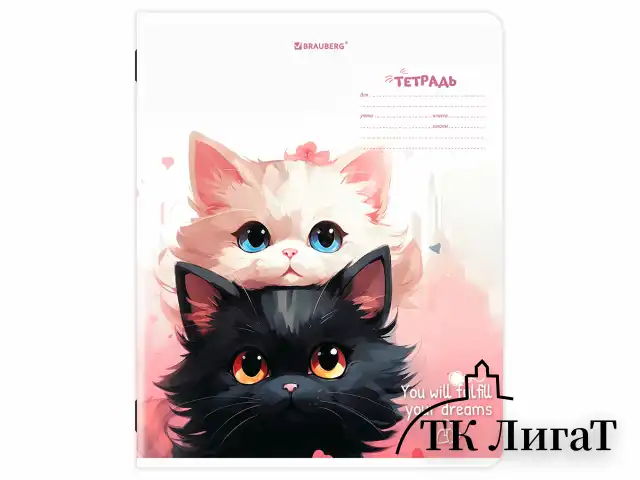 Тетрадь 18 л. BRAUBERG клетка, обложка картон, КОТИКИ, 107300