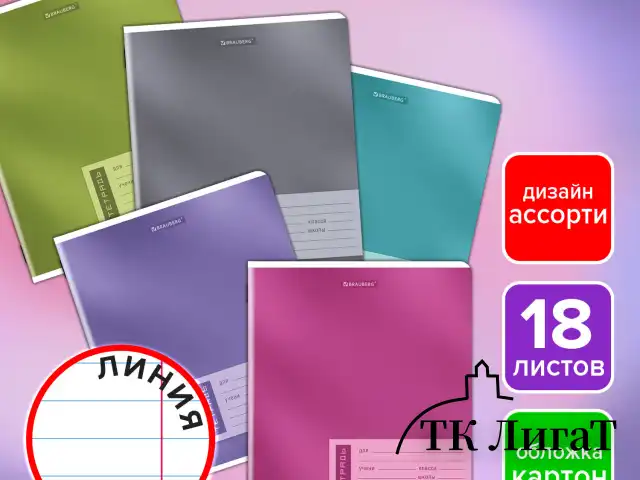 Тетрадь 18 л. BRAUBERG линия, обложка картон, ONE COLOUR, 107301