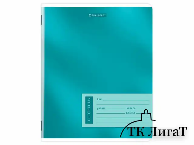 Тетрадь 18 л. BRAUBERG линия, обложка картон, ONE COLOUR, 107301