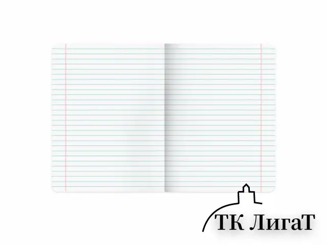 Тетрадь 18 л. BRAUBERG линия, обложка картон, CLASSIC, 107302