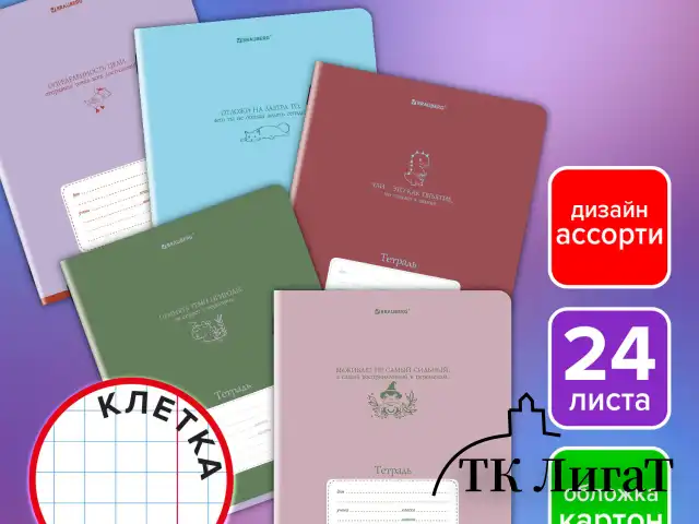 Тетрадь 24 л. BRAUBERG клетка, обложка картон, PHRASES, 107304
