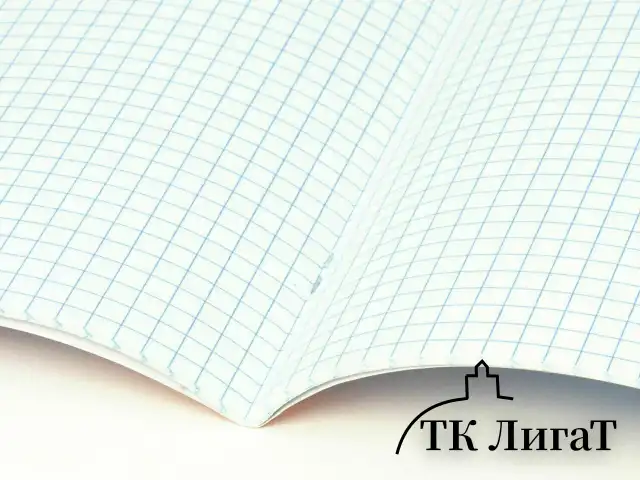 Тетрадь 24 л. BRAUBERG клетка, обложка картон, PHRASES, 107304