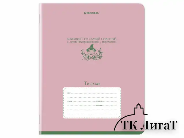 Тетрадь 24 л. BRAUBERG клетка, обложка картон, PHRASES, 107304