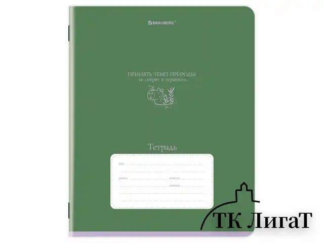Тетрадь 24 л. BRAUBERG клетка, обложка картон, PHRASES, 107304