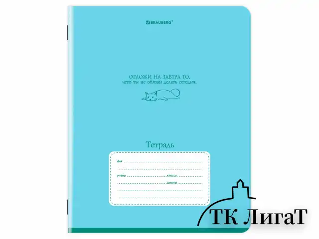 Тетрадь 24 л. BRAUBERG клетка, обложка картон, PHRASES, 107304