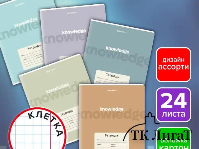 Тетрадь 24 л. BRAUBERG клетка, обложка картон, KNOWLEDGE, 107305
