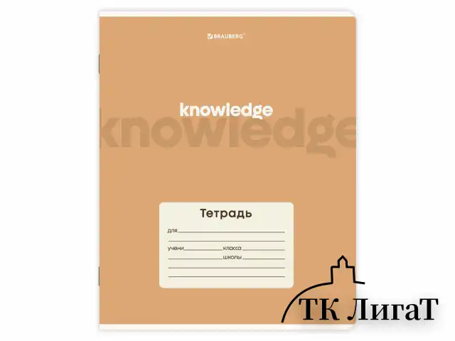Тетрадь 24 л. BRAUBERG клетка, обложка картон, KNOWLEDGE, 107305