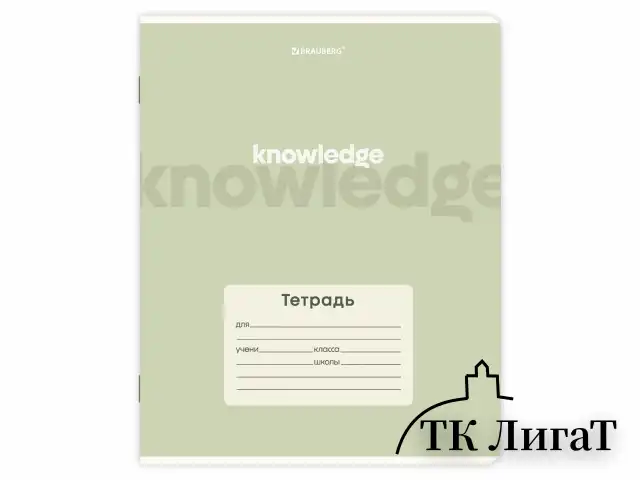 Тетрадь 24 л. BRAUBERG клетка, обложка картон, KNOWLEDGE, 107305