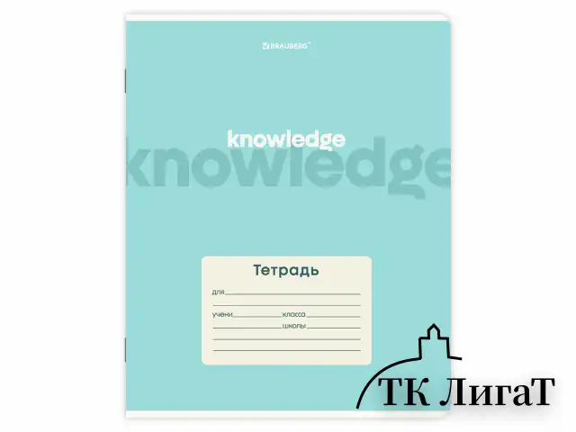 Тетрадь 24 л. BRAUBERG клетка, обложка картон, KNOWLEDGE, 107305