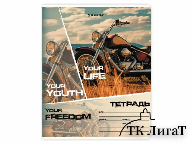 Тетрадь 24 л. BRAUBERG, клетка, обложка картон, AUTO-MOTO, 107307
