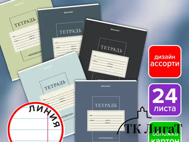 Тетрадь 24 л. BRAUBERG линия, обложка картон, CLASSIC, 107310