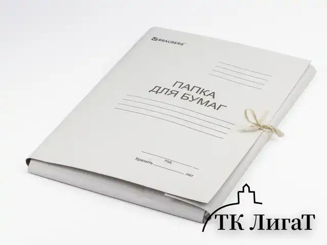 Папка для бумаг с завязками картонная мелованная BRAUBERG, 280 г/м2, до 200 листов, 110924
