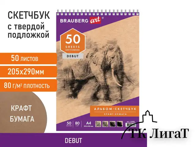 Скетчбук, крафт-бумага 80 г/м2, 205х290 мм, 50 л., гребень, жёсткая подложка, BRAUBERG ART DEBUT, 110982