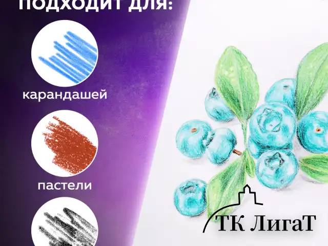 Скетчбук, белая бумага 100 г/м2, 145х205 мм, 50 л., гребень, жёсткая подложка, BRAUBERG ART DEBUT, 110987