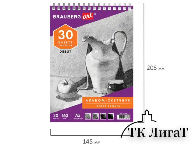 Скетчбук, белая бумага 160 г/м2, 145х205 мм, 30 л., гребень, жёсткая подложка, BRAUBERG ART DEBUT, 110989