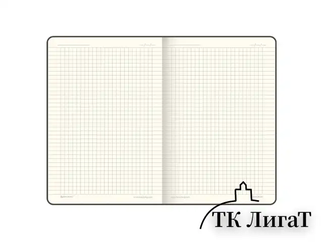 Блокнот А5 (148x218 мм), BRAUBERG "Metropolis Ultra", под кожу, 80 л., резинка, клетка, коричневый, 111023