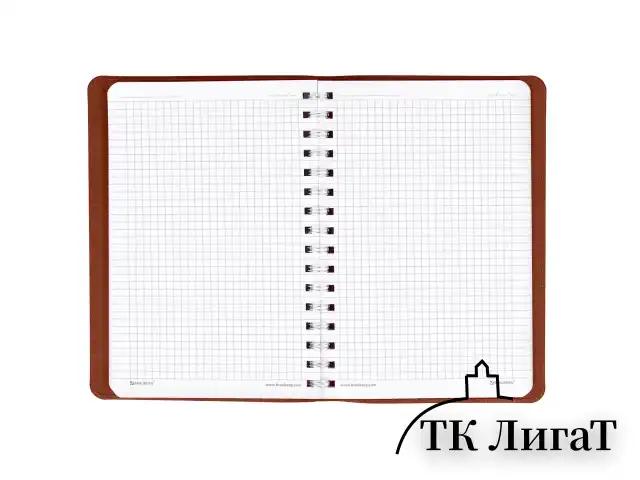 Тетрадь А5 (148x218 мм), BRAUBERG "Office PRO", гибкая, под кожу, гребень, 80 л., коричневая, 111044