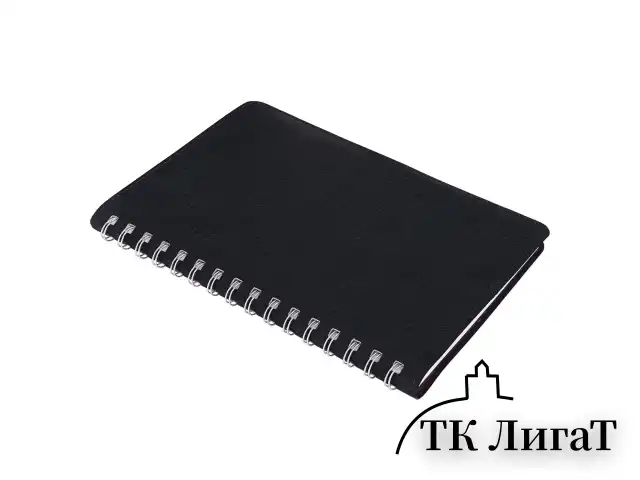 Тетрадь А5 (148x218 мм), BRAUBERG "Office PRO", гибкая, под кожу, гребень, 80 л., черная, 111046