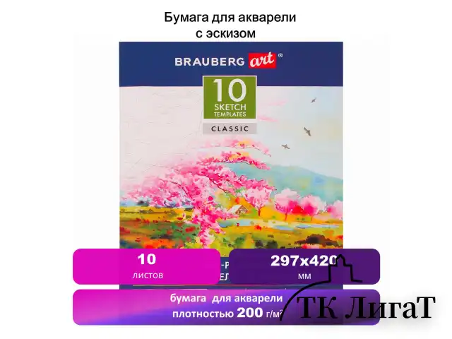 Папка для акварели С ЭСКИЗОМ, БОЛЬШАЯ А3, 10 л., 200 г/м2, 297х420 мм, BRAUBERG, 110065, 111065