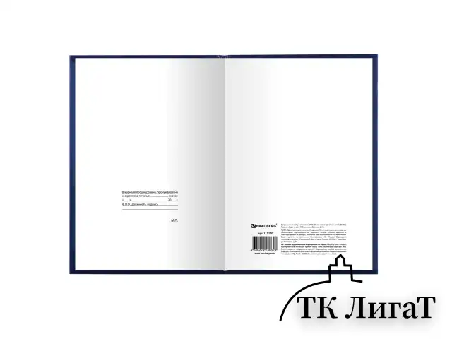 Журнал учета для розничной торговли, 96 л., бумвинил, блок офсет, А4 200x290 мм, BRAUBERG, 111270