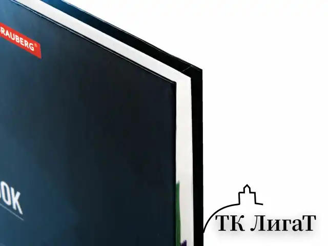 Блокнот БОЛЬШОЙ ФОРМАТ (215х295 мм) А4, 128 л., твердый, клетка, блок 4 цвета, BRAUBERG, "Бизнес", 111593
